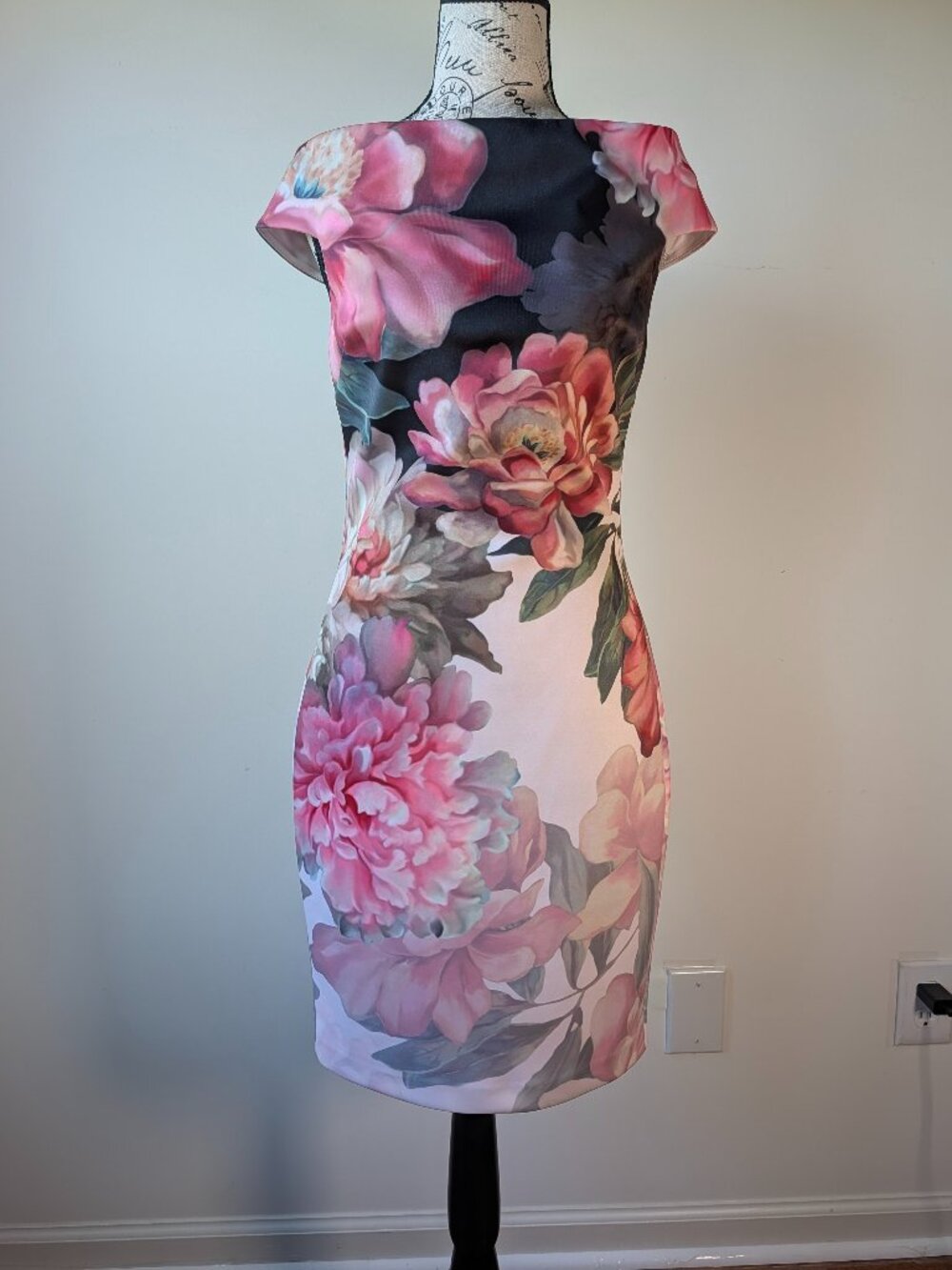 Ted Baker London Dress NWT Floral Print Fully Lined Back Zip Size 2
